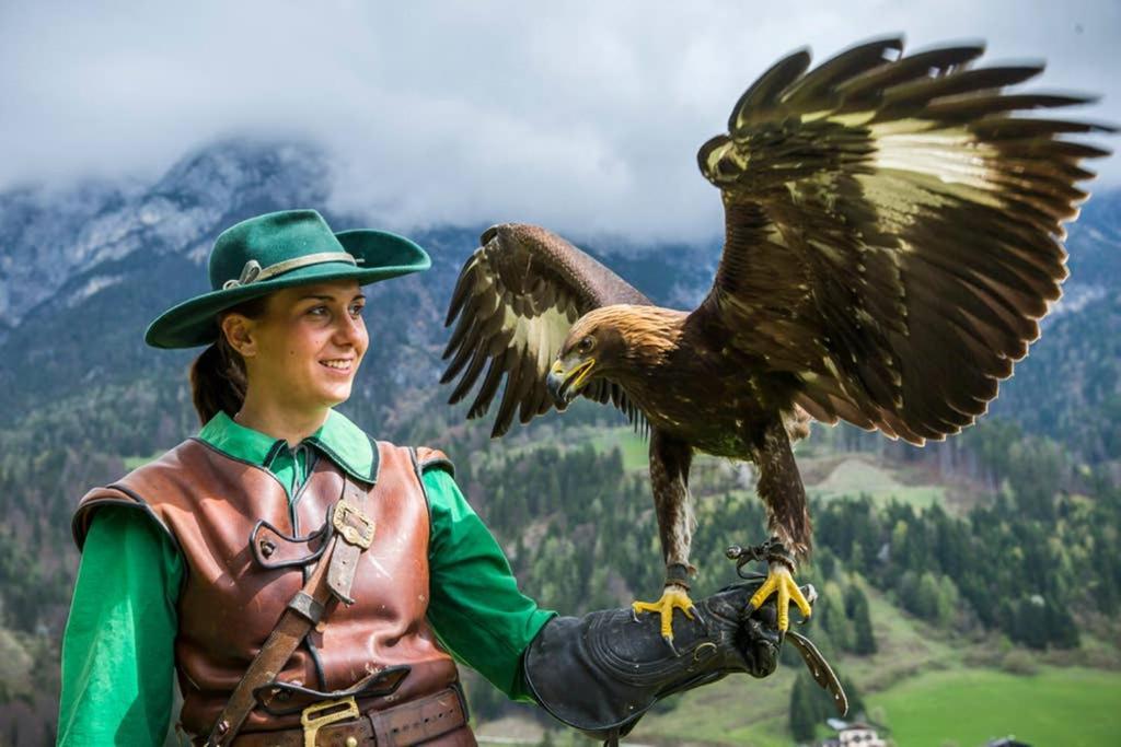 Alpenrelax Haus Weidmannsheil Wohnen Im Romantischen Forsthaus ヴェルフェン エクステリア 写真