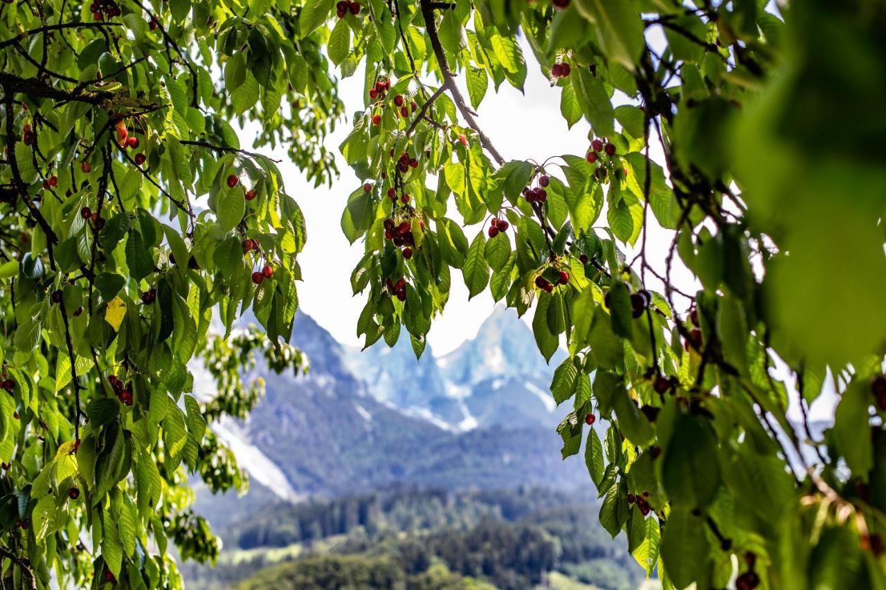 Alpenrelax Haus Weidmannsheil Wohnen Im Romantischen Forsthaus ヴェルフェン エクステリア 写真