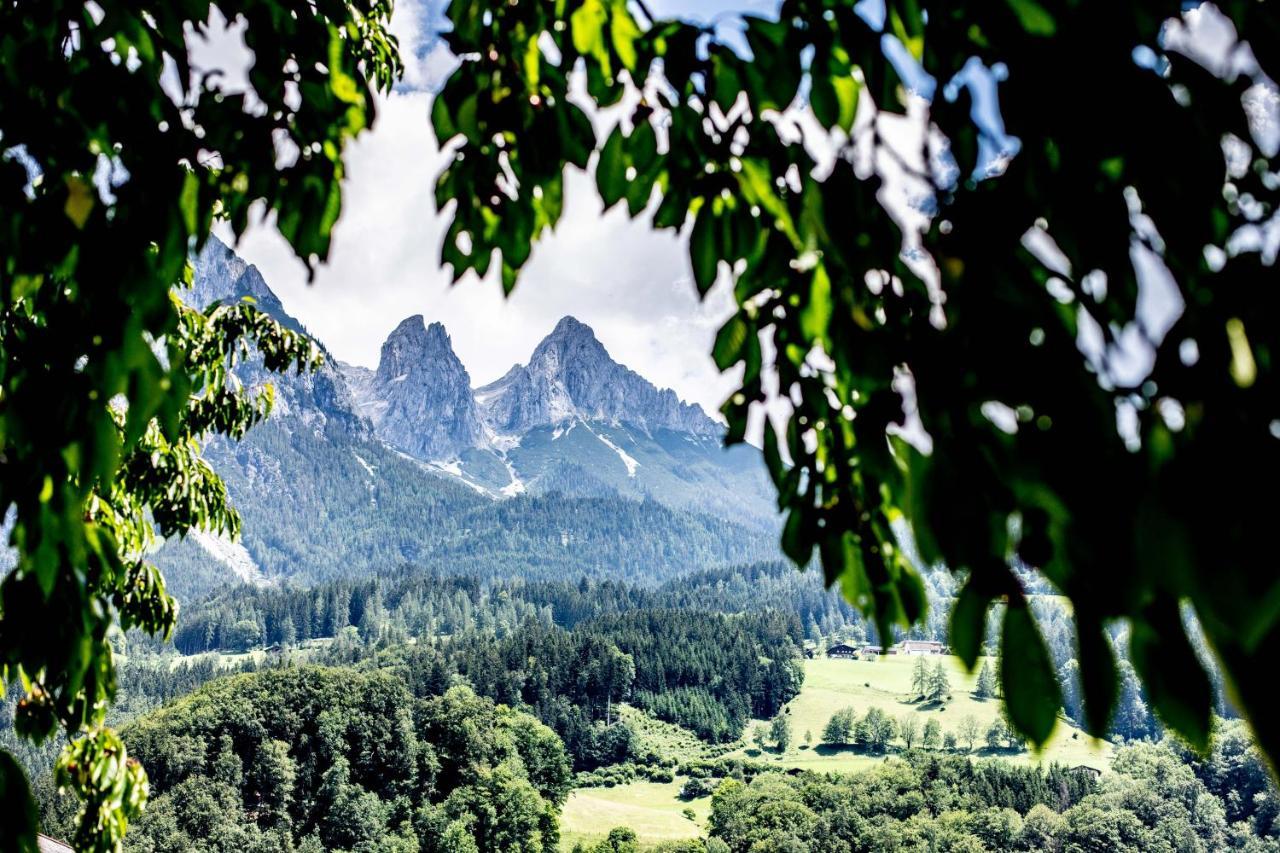 Alpenrelax Haus Weidmannsheil Wohnen Im Romantischen Forsthaus ヴェルフェン エクステリア 写真