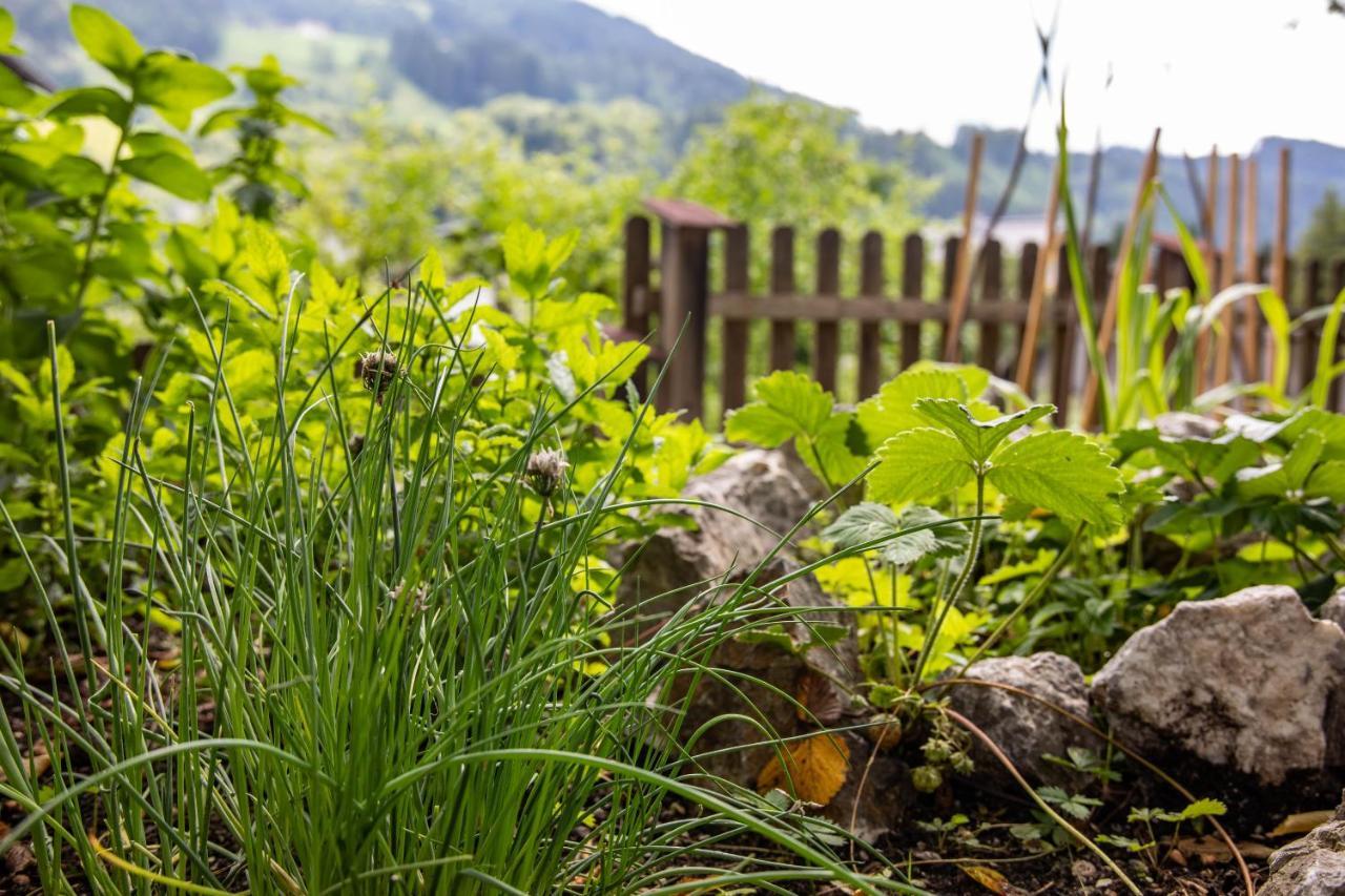 Alpenrelax Haus Weidmannsheil Wohnen Im Romantischen Forsthaus ヴェルフェン エクステリア 写真
