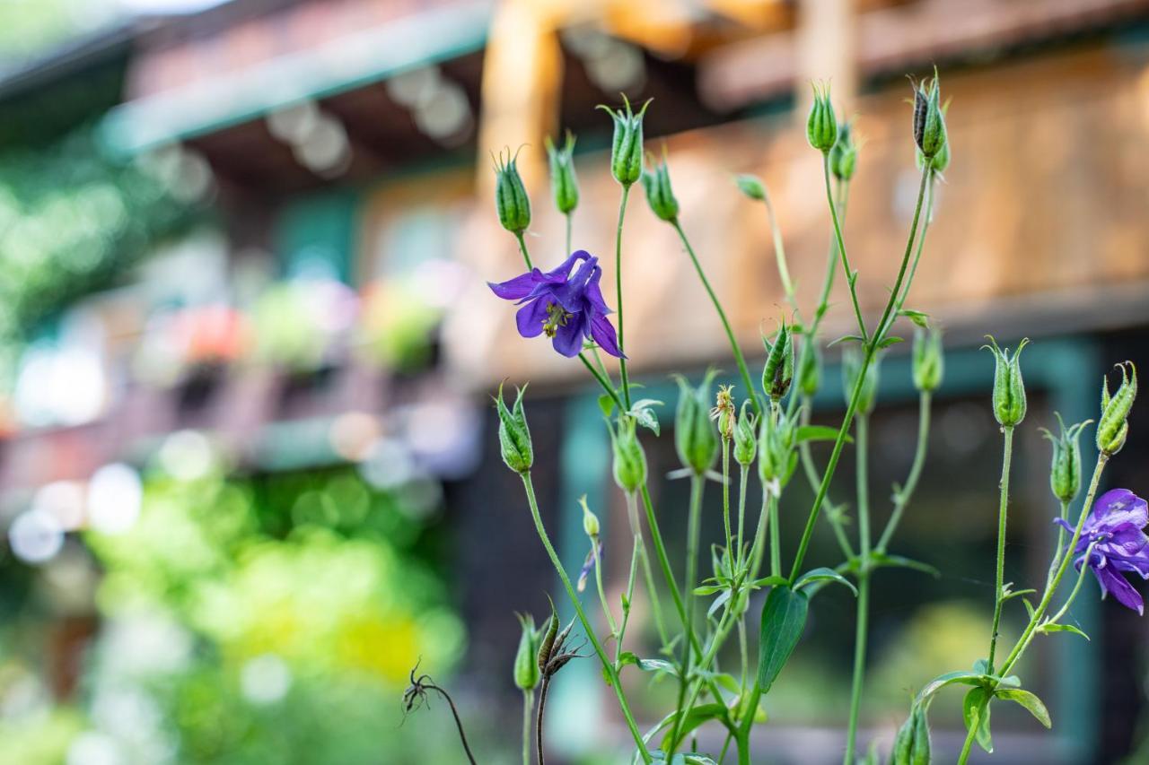 Alpenrelax Haus Weidmannsheil Wohnen Im Romantischen Forsthaus ヴェルフェン エクステリア 写真
